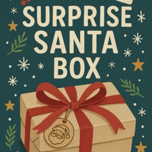 Surprise Santa Box